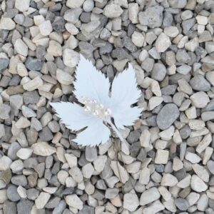 foglia vite grande bianca